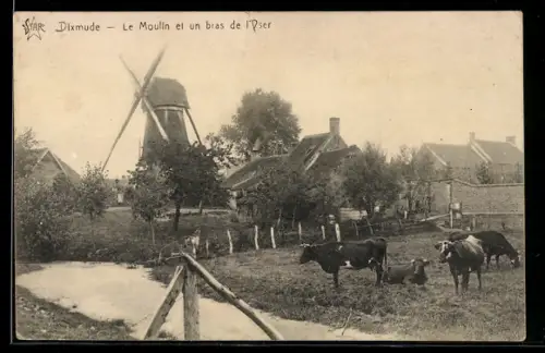 AK Dixmude, Le Moulin et un bras de l`Yser, Kühe
