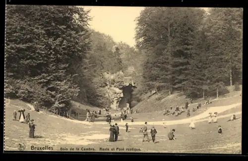 AK Bruxelles, Bois de la Cambre, Ravin et Pont rustique