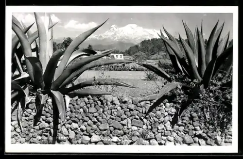 AK El Ixtaccihuatl, Panorama