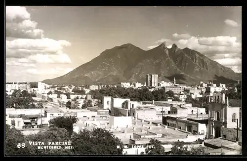 AK Monterrey, Vista Parcial