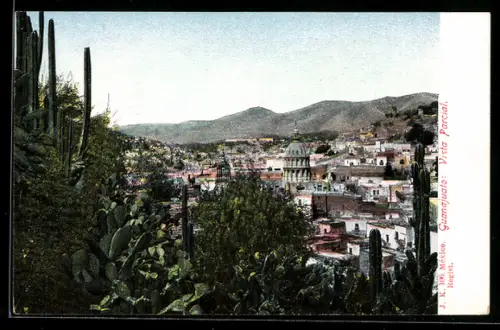 AK Guanajuato, Vista Parcial