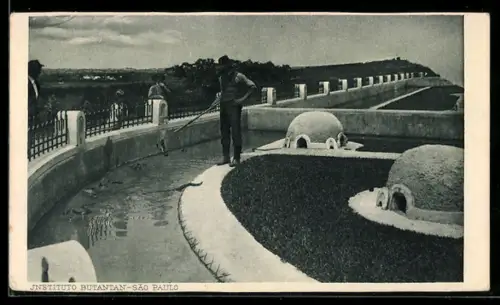 AK Sao Paulo, Instituto Butantan