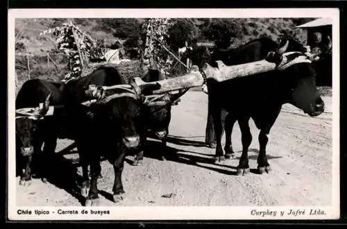 AK Chile, Chile tipico, Carreta de bueynes