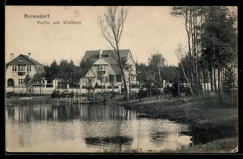 AK Hermsdorf, Partie am Waldsee