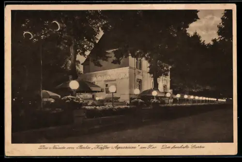 AK Berlin-Charlottenburg, Kaffee Aquarium am Zoo, Hardenbergstrasse 21- 23, Gartenansicht bei Nacht