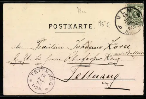 Lithographie Ulm a /D, Münster, Rathaus, Donaubrücke