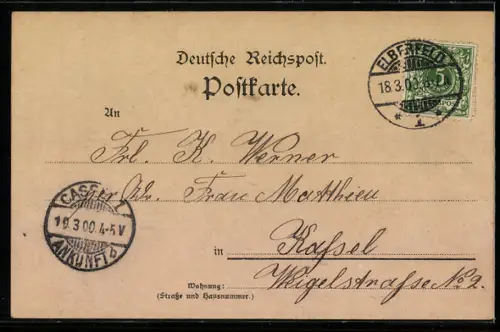 Lithographie Elberfeld, Rathaus, Neumarkt, Kriegerdenkmal