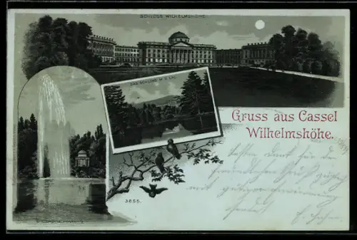 Mondschein-Lithographie Cassel-Wilhelmshöhe, Schloss Wilhelmshöhe, Fontäne, Vögel