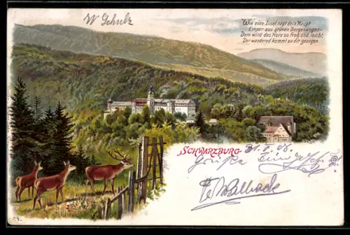 Lithographie Schwarzburg, Schloss Schwarzburg, Hirsche, Waldlandschaft