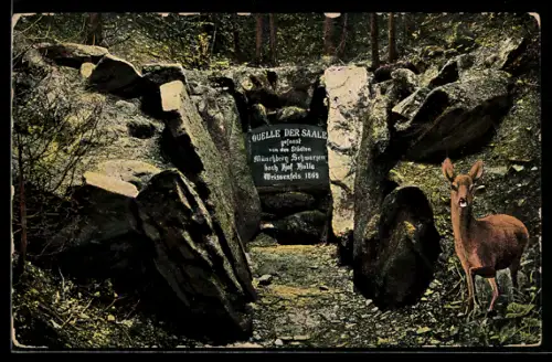 AK Zell /Fichtelgebirge, Quelle der Saale