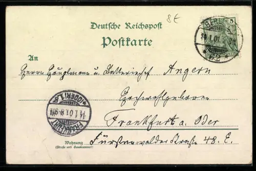 Lithographie Berlin, Neuer Dom