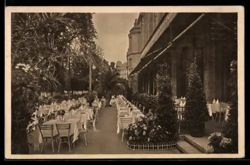 AK Berlin-Tiergarten, Weinhaus Rheingold, Terrasse