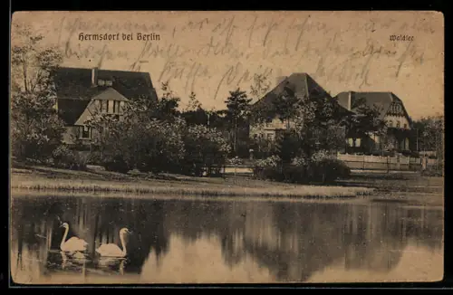 AK Hermsdorf bei Berlin, Waldsee mit Schwänen