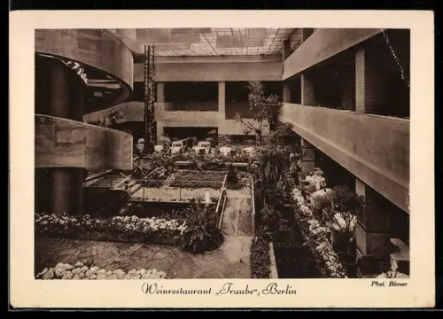 AK Berlin, Weinrestaurant Traube, Hardenbergstrasse 29a