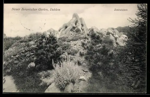 AK Dahlem, Neuer Botanischer Garten, Zentralalpen