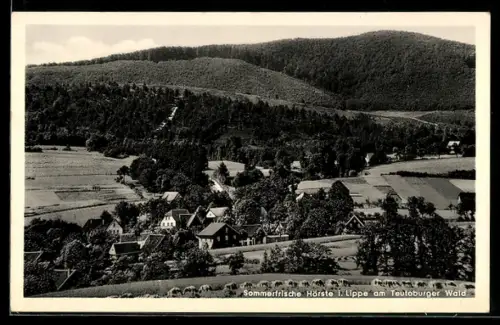 AK Hörste i. Lippe, Panorama