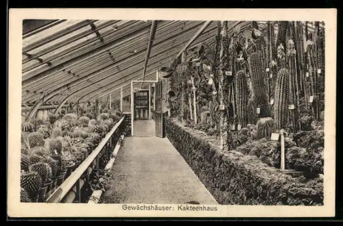 AK Berlin-Dahlem, Botanischer Garten, Gewächshäuser, Kakteenhaus