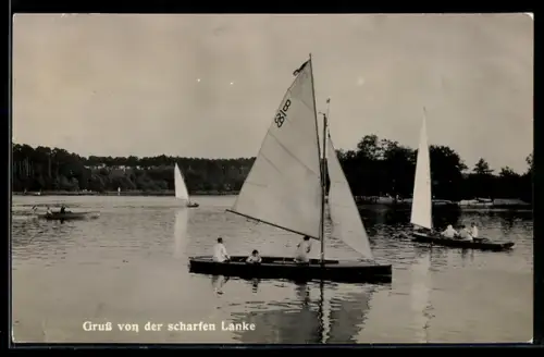 AK Scharfe Lanke bei Pichelsdorf, Segelboote auf dem Wasser