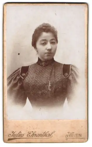 Fotografie Julius Ehrenthal, Wien, Feldgasse 1, Porträt einer Frau in elegantem Kleid