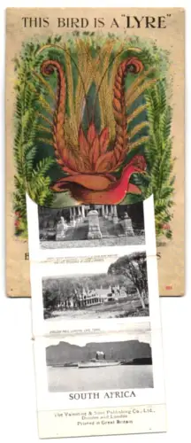 Leporello-AK Cape Town, City Hall and Table Mountain, Houses of Parliament, Lions Head