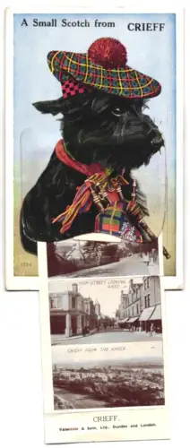 Leporello-AK Crieff, War Memorial and Comrie Road, Macrosty Park