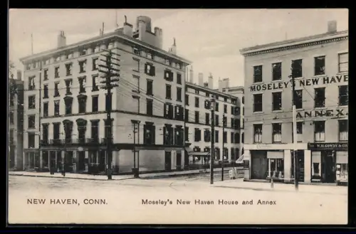 AK New Haven, CT, Moseley`s New Haven House and Annex