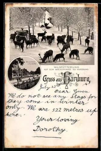 Lithographie Harzburg, Wildfütterung am Molkenhaus