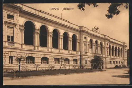 AK Napoli, Acquario