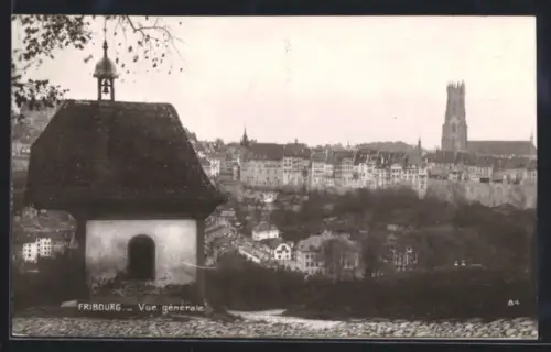 AK Fribourg, Vue générale