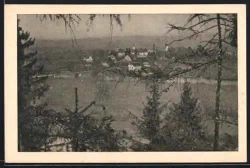 AK Rann, Ortsansicht am See, Blick durch Nadelwald
