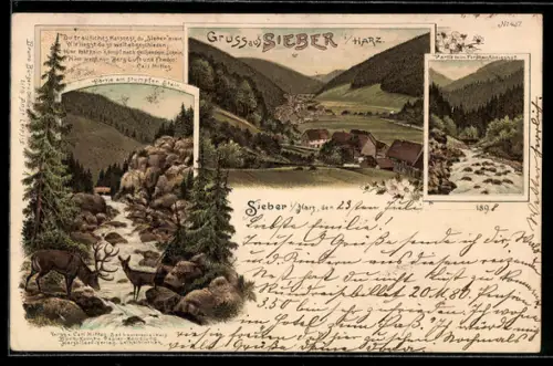 Lithographie Sieber, Partie am stumpfen Stein, Partie am Fortshaus Königshof & Ortsansicht