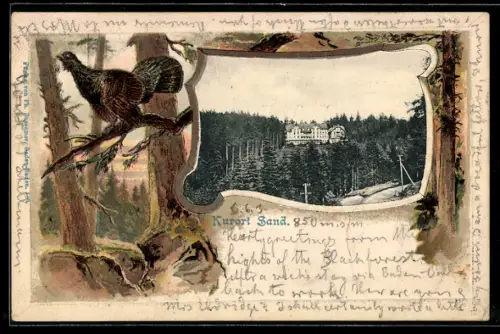 Passepartout-Lithographie Sand, Blick zum Kurort, mit Fasan