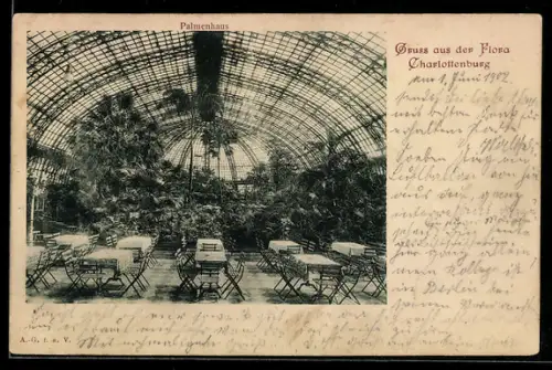 AK Berlin-Charlottenburg, Flora, Palmengarten