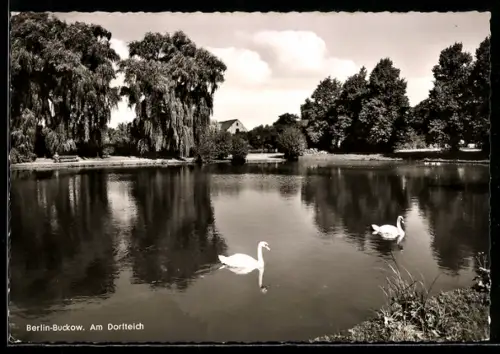 AK Berlin-Buckow, Am Dorfteich