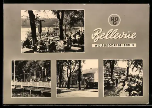 AK Woltersdorf bei Berlin, HOG Bellevue, Terrasse, Gartenlokal, Seeblick