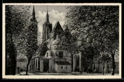 AK Breslau, Strassenpartie am Dom