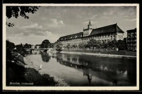 AK Breslau, Fluss gegen Universität