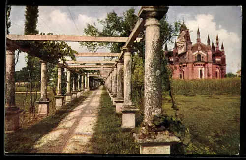 AK Certosa di Pavia, Il grande pergolato