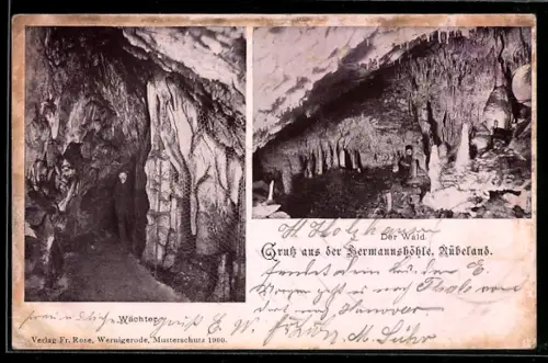 AK Rübeland / Harz, Hermannshöhle, Wächter und Wald