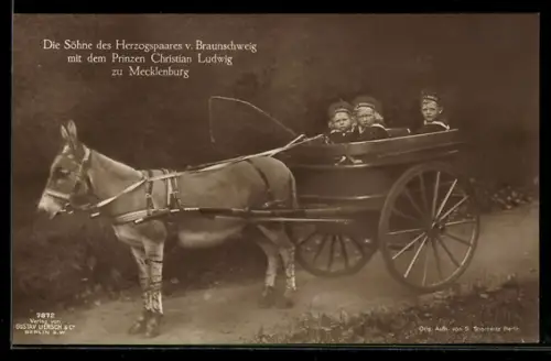 AK Die Söhne des Herzogspaares von Braunschweig mit dem Prinzen Christian Ludwig zu Mecklenburg, Esel