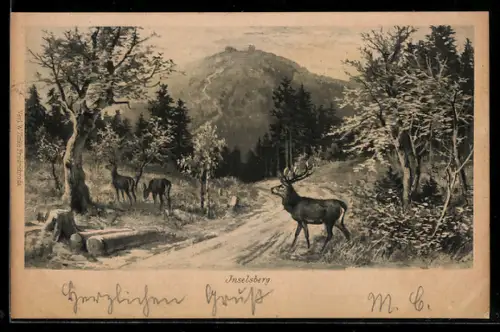 AK Brotterode, Blick auf den Inselsberg, Hirsch und Rehe