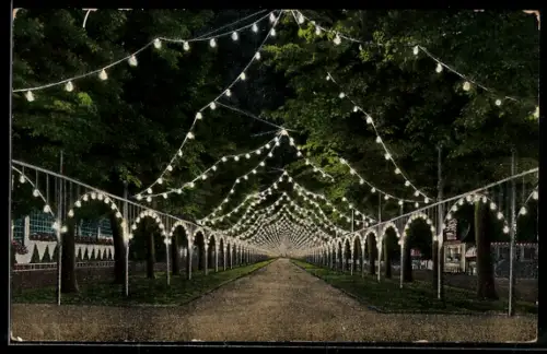 AK Dresden, Internationale Hygiene Ausstellung 1911, Illumination der Herkulesallee