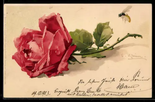 Künstler-AK Catharina Klein: Rote Rose mit grünem Blattwerk und fliegender Biene
