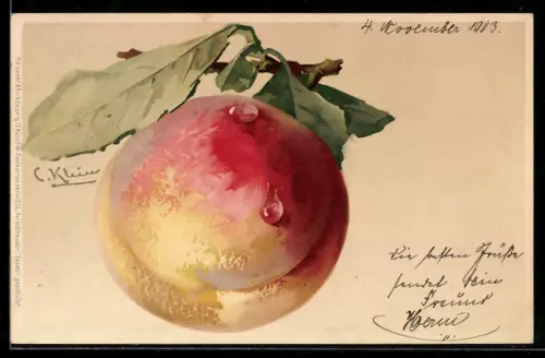 Künstler-AK Catharina Klein: Reifer Pfirsich mit Tautropfen an einem Zweig