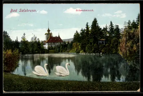 AK Bad Salzbrunn, Ortsansicht, Schwäne auf dem Schwedenteich