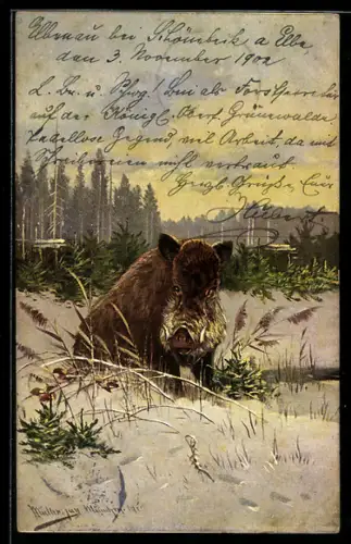 Künstler-AK M. Müller jun.: Wildschwein am winterlichen Gewässer