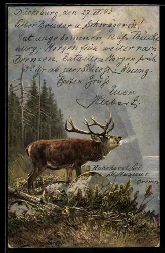 Künstler-AK M. Müller jun.: Röhrender Hirsch an einem Bergsee