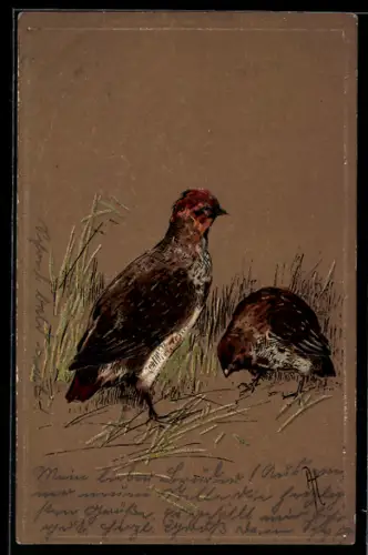 AK Zwei Rebhühner auf einer Wiese