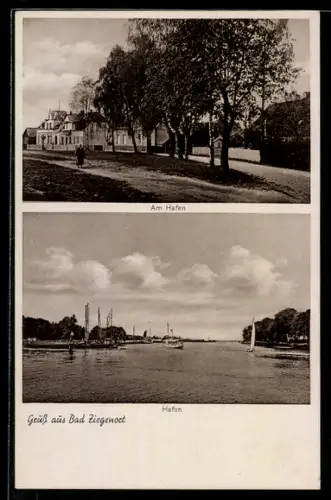 AK Bad Ziegenort, Blick auf den Hafen und Ortspartie mit Grünanlagen