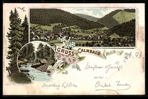 Lithographie Calmbach a. d. Enz, Ortsansicht, Flusslauf im Würzbachtal